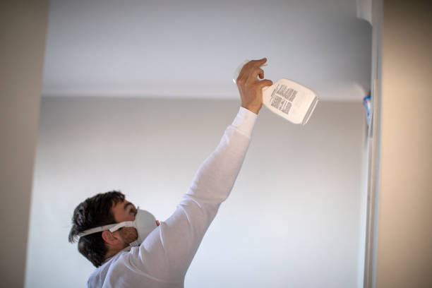 Mold Removal and Inspection in Smithville, MO