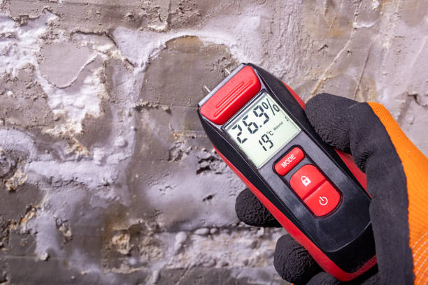 Best Black Mold Removal  in Smithville, MO