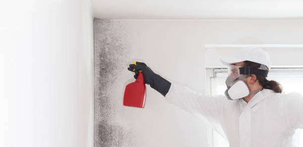 Best Crawl Space Mold Removal  in Smithville, MO